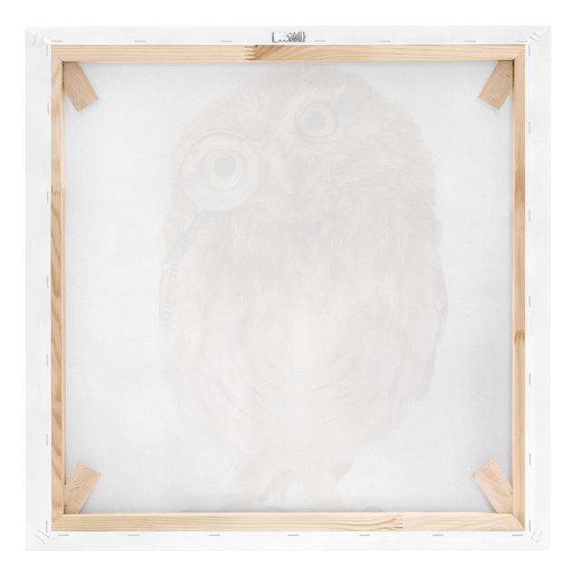 Canvastavlor Curious Owl