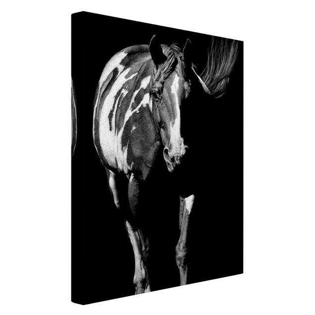 Canvastavlor svart och vitt Horse In The Dark
