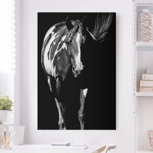 Kök dekoration Horse In The Dark