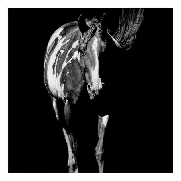 Canvastavlor djur Horse In The Dark