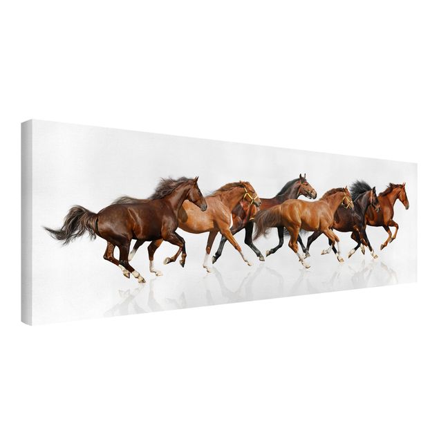 Canvastavlor djur Horse Herd