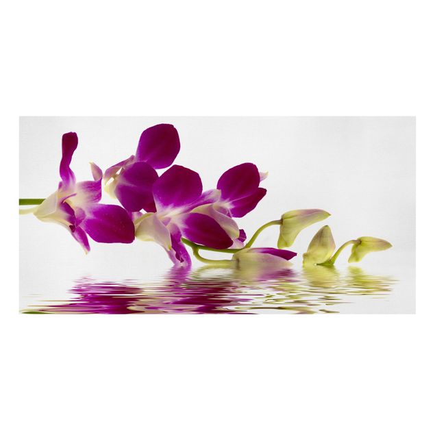 Tavlor blommor Pink Orchid Waters