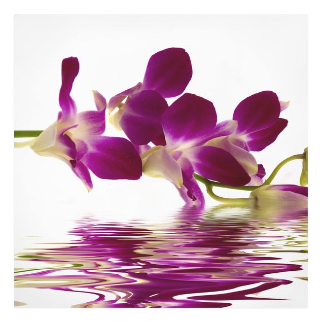 Tavlor blommor Pink Orchid Waters