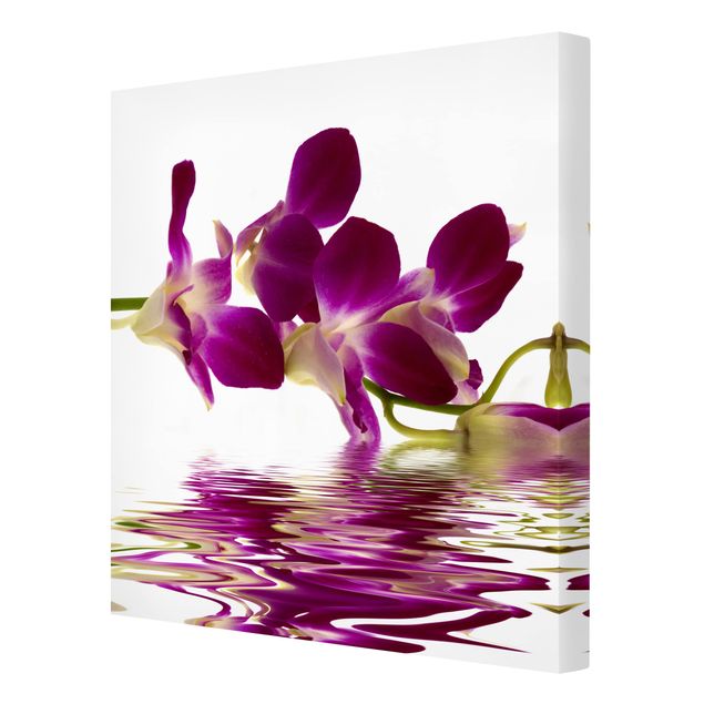 Tavlor blommor  Pink Orchid Waters