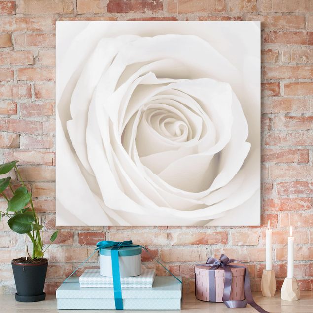Kök dekoration Pretty White Rose