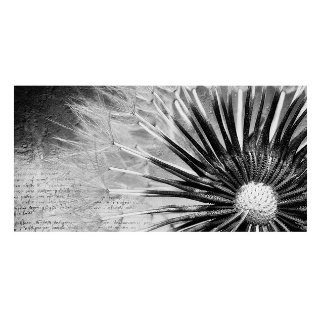 Canvastavlor svart och vitt Dandelion Black & White