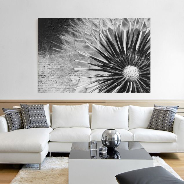 Canvastavlor lejon Dandelion Black & White