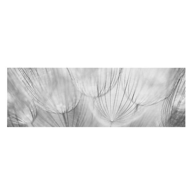 Canvastavlor svart och vitt Dandelions Macro Shot In Black And White