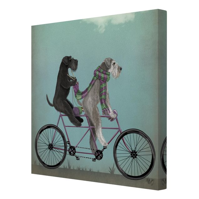 Canvastavlor djur Cycling - Schnauzer Tandem
