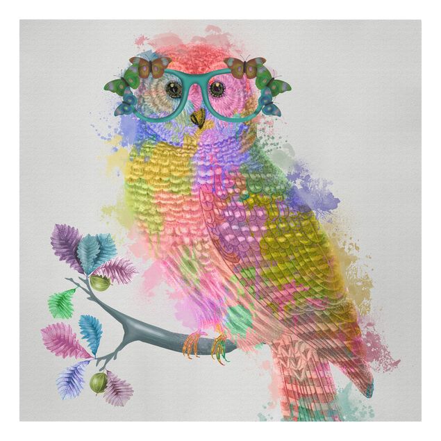 Tavlor Rainbow Splash Owl