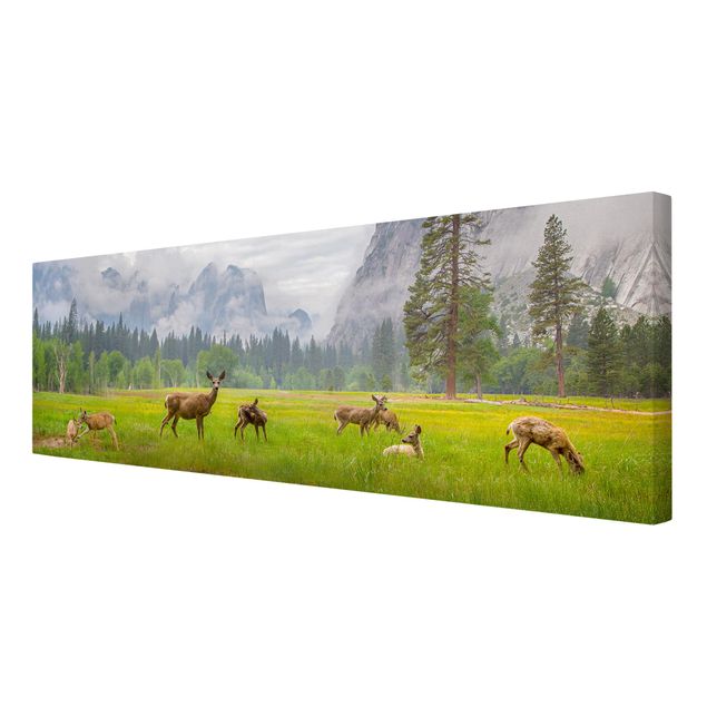 Canvastavlor djur Deer In The Mountains