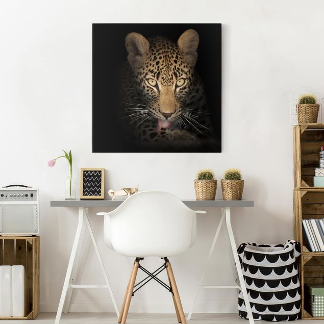 Canvastavlor katter Resting Leopard