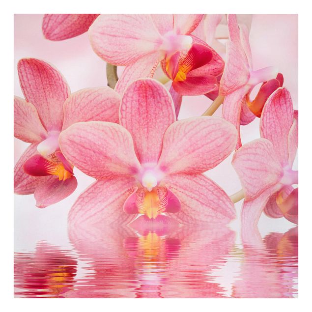 Tavlor blommor Light Pink Orchid On Water