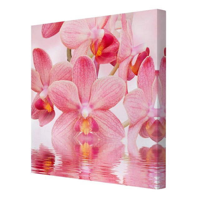 Tavlor blommor  Light Pink Orchid On Water