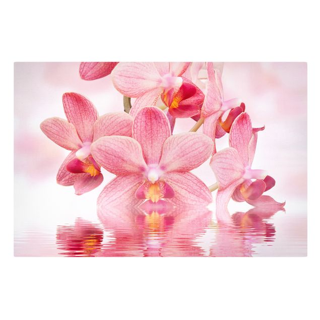Tavlor blommor Light Pink Orchid On Water