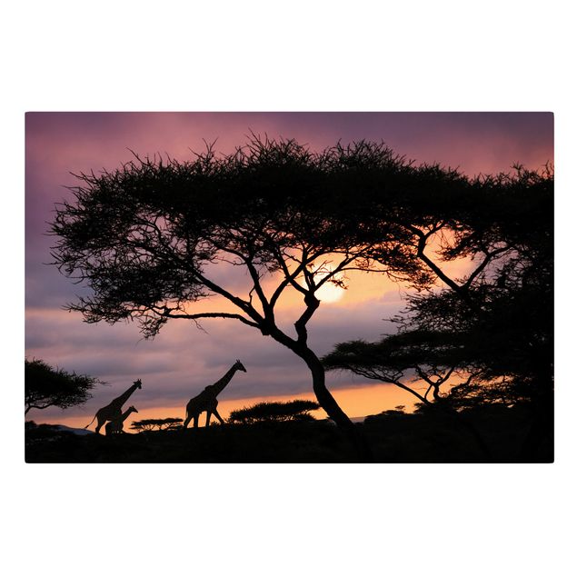 Canvastavlor solnedgångar African Safari