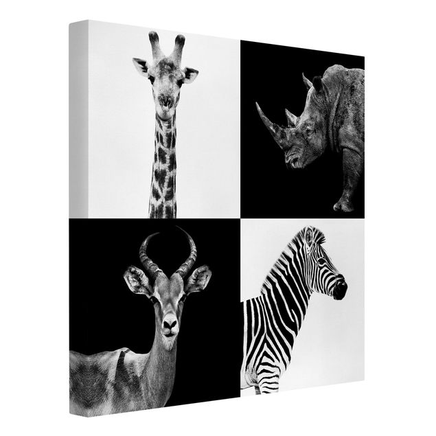 Canvastavlor svart och vitt Safari Quartet