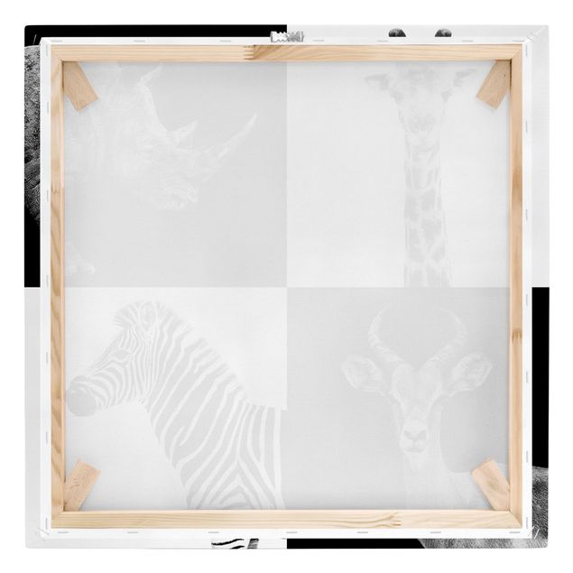Tavlor svart och vitt Safari Quartet