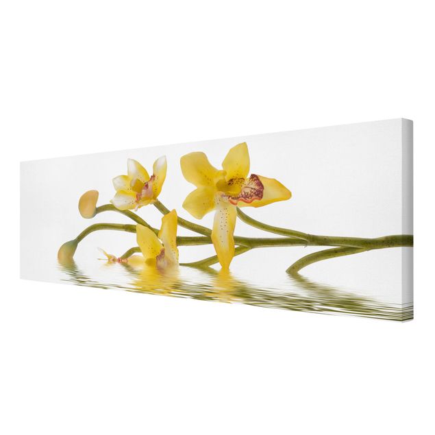 Tavlor blommor  Saffron Orchid Waters