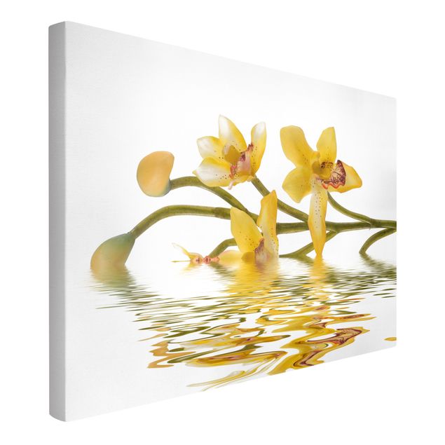 Canvastavlor blommor  Saffron Orchid Waters