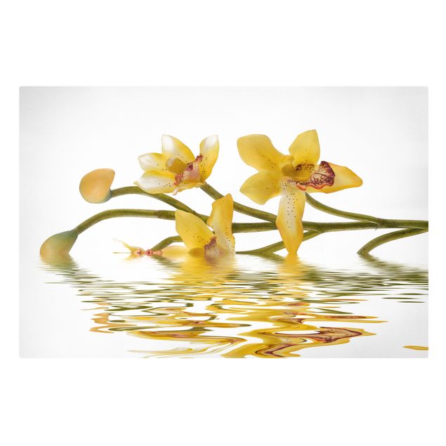 Tavlor blommor Saffron Orchid Waters