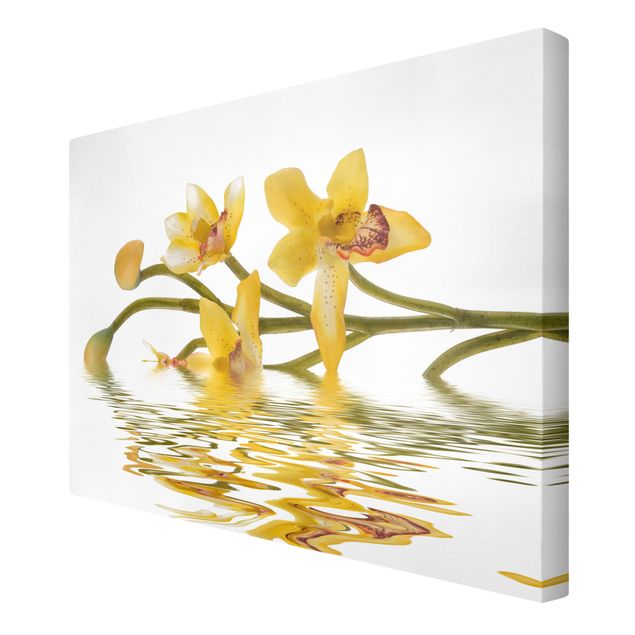 Tavlor blommor  Saffron Orchid Waters