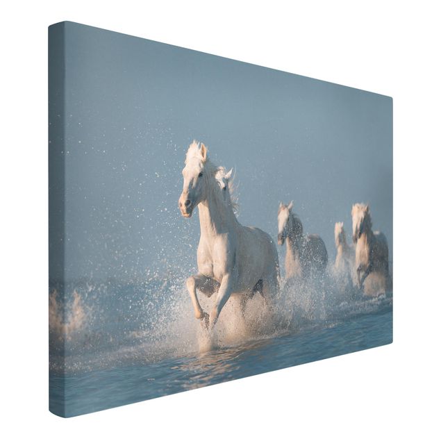 Canvastavlor djur Herd Of White Horses