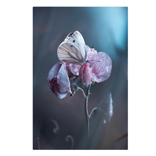 Tavlor blommor Butterfly In The Rain