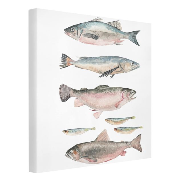 Canvastavlor djur Seven Fish In Watercolour I