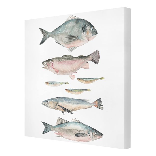 Tavlor djur Seven Fish In Watercolour II