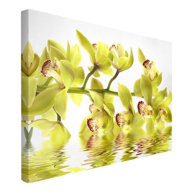 Canvastavlor blommor  Splendid Orchid Waters
