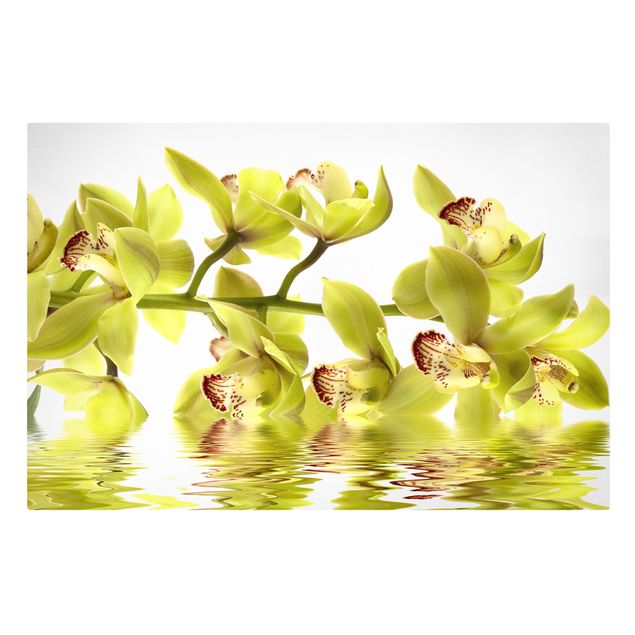 Tavlor blommor Splendid Orchid Waters