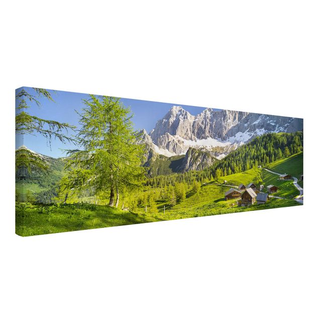 Tavlor bergen Styria Alpine Meadow