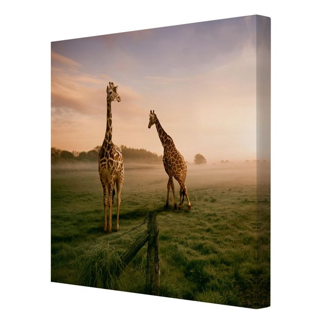 Canvastavlor djur Surreal Giraffes