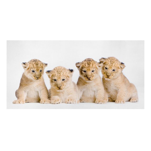 Canvastavlor djur Sweet Lion Babys