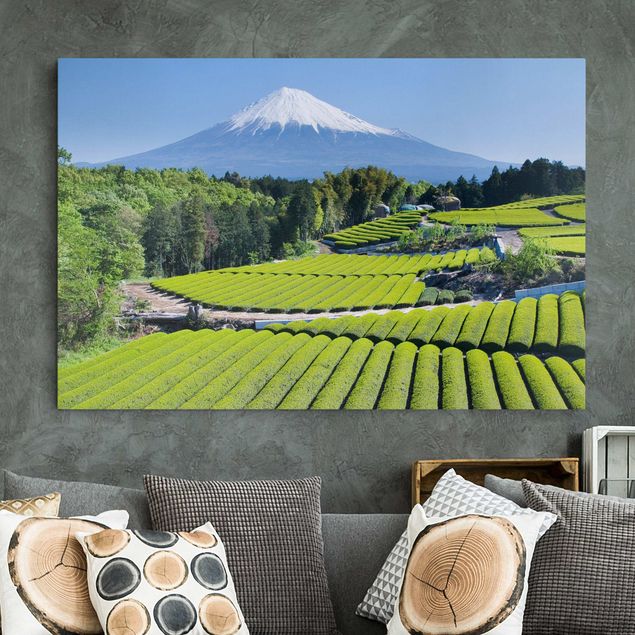 Kök dekoration Tea Fields In Front Of The Fuji