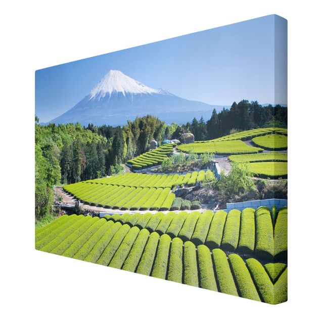 Canvastavlor Arkitektur och Skyline Tea Fields In Front Of The Fuji