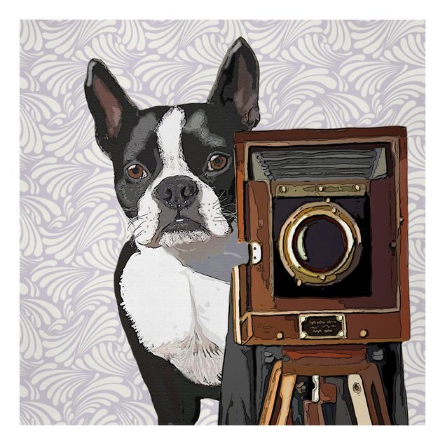 Canvastavlor djur Wildlife Photographer Terrier