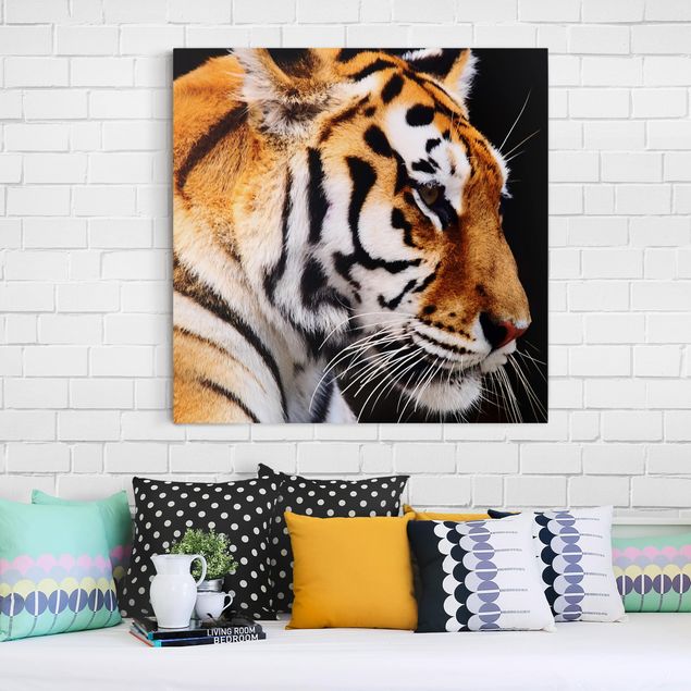Canvastavlor katter Tiger Beauty