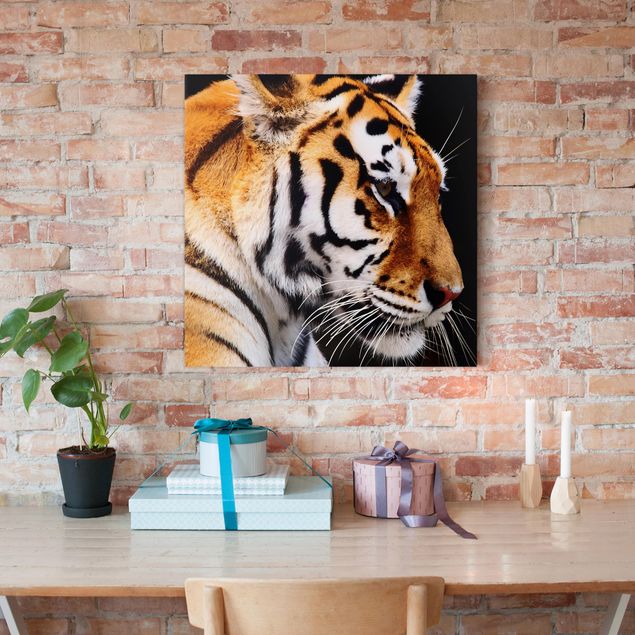 Canvastavlor tigrar Tiger Beauty