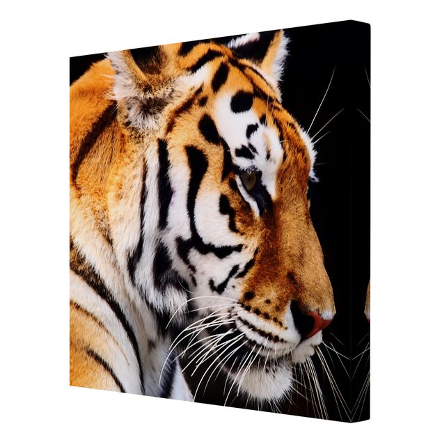 Tavlor modernt Tiger Beauty
