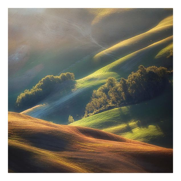 Canvastavlor landskap Tuscany in the Morning