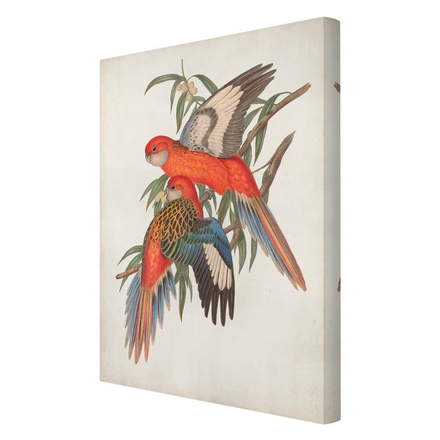 Tavlor Tropical Parrot I