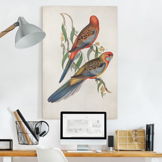 Canvastavlor fåglar Tropical Parrot II