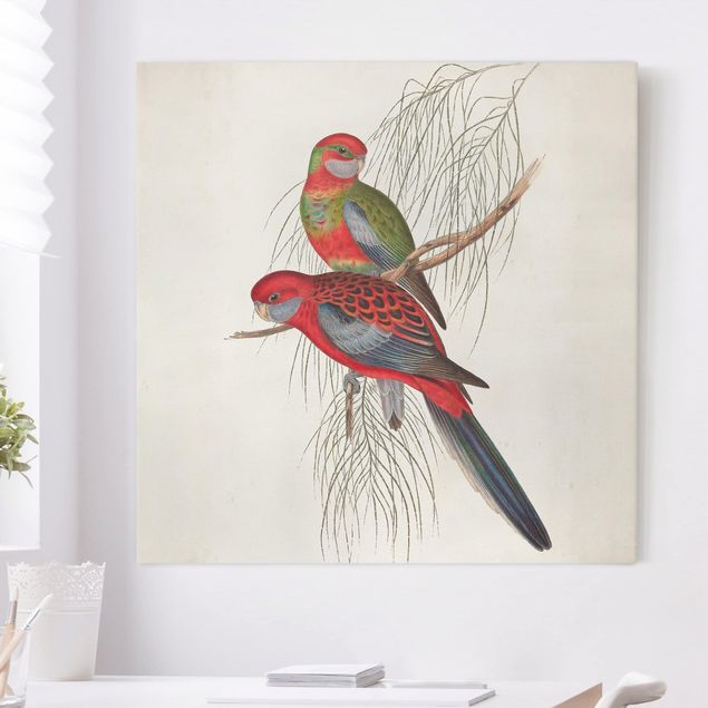 Canvastavlor fåglar Tropical Parrot III