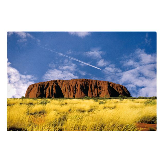 Tavlor landskap Uluru