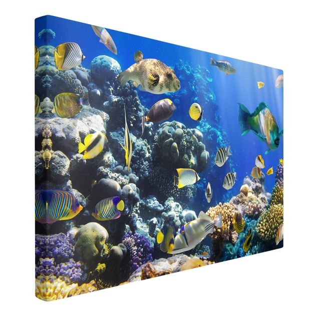 Tavlor landskap Underwater Reef