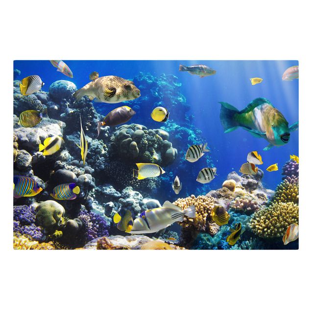 Tavlor stränder Underwater Reef