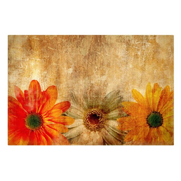 Tavlor orange Vintage Flowermix
