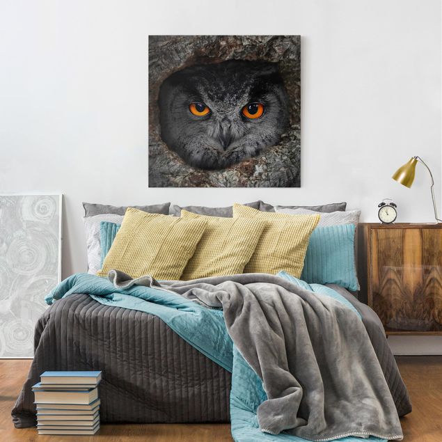 Canvastavlor djur Watching Owl